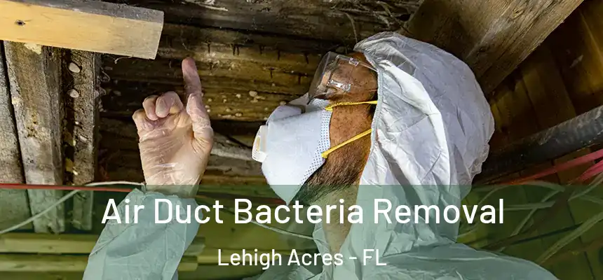 Air Duct Bacteria Removal Lehigh Acres - FL