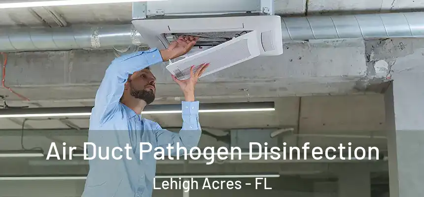 Air Duct Pathogen Disinfection Lehigh Acres - FL