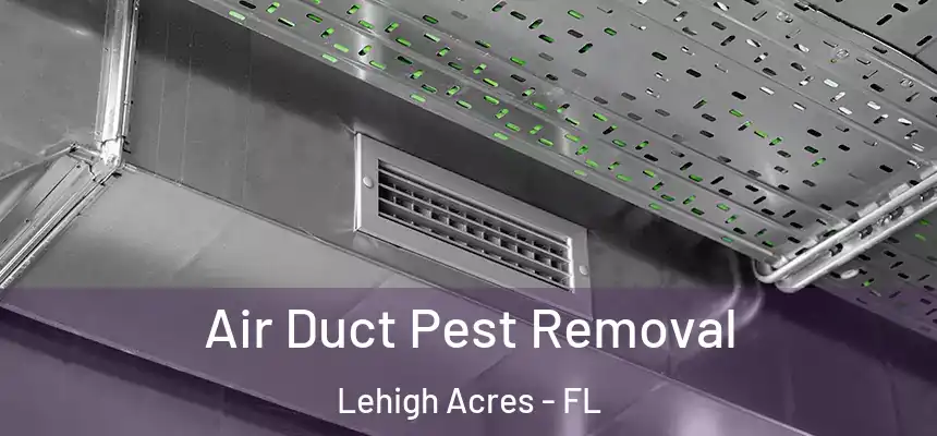 Air Duct Pest Removal Lehigh Acres - FL