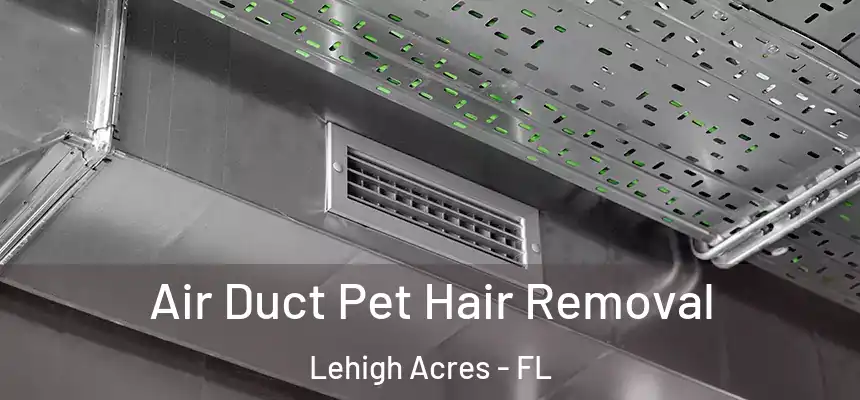 Air Duct Pet Hair Removal Lehigh Acres - FL