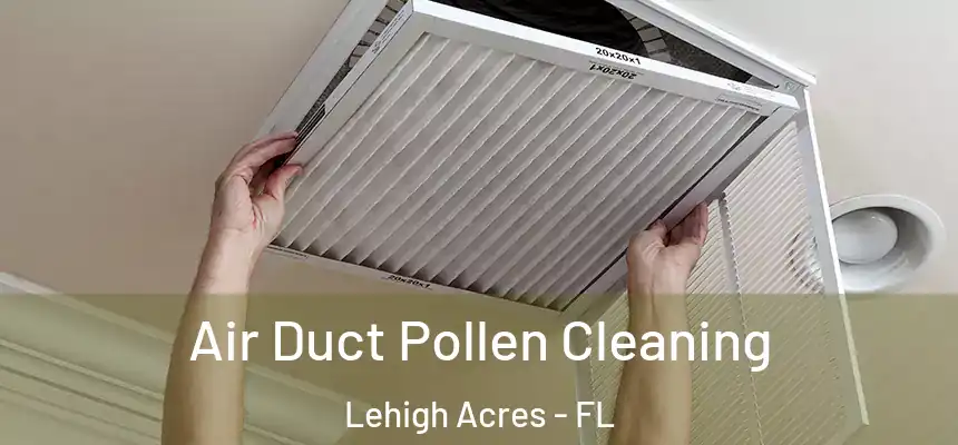 Air Duct Pollen Cleaning Lehigh Acres - FL