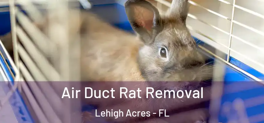 Air Duct Rat Removal Lehigh Acres - FL