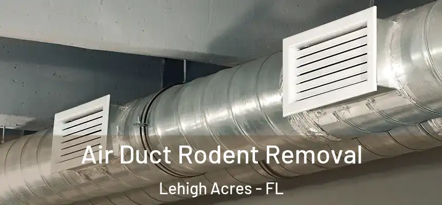 Air Duct Rodent Removal Lehigh Acres - FL