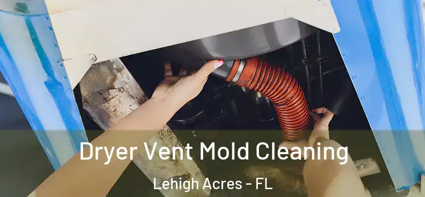 Dryer Vent Mold Cleaning Lehigh Acres - FL