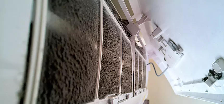 Preventive Air Duct Bacteria Removal in Lehigh Acres