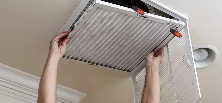Preventive Cockroach-Proofing for Ducts in Lehigh Acres