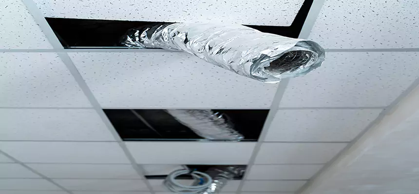 Our Air Duct Pet Hair Removal Services in Lehigh Acres, FL