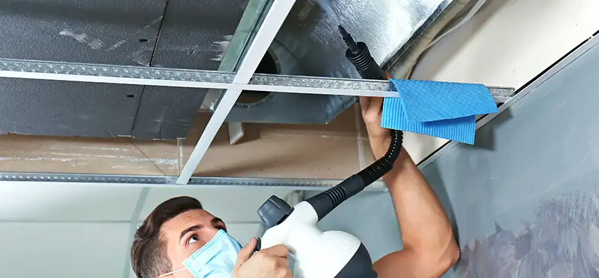 Our Air Duct Rodent Removal Services in Lehigh Acres, FL