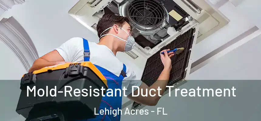 Mold-Resistant Duct Treatment Lehigh Acres - FL