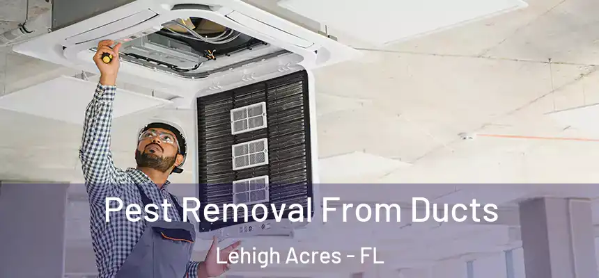 Pest Removal From Ducts Lehigh Acres - FL
