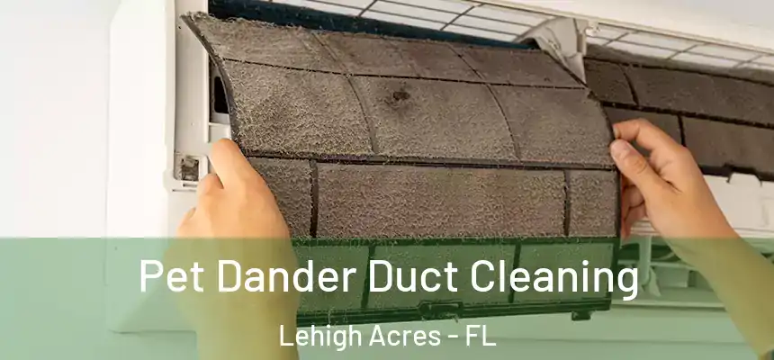 Pet Dander Duct Cleaning Lehigh Acres - FL