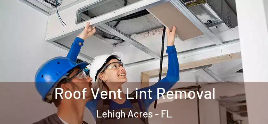 Roof Vent Lint Removal Lehigh Acres - FL