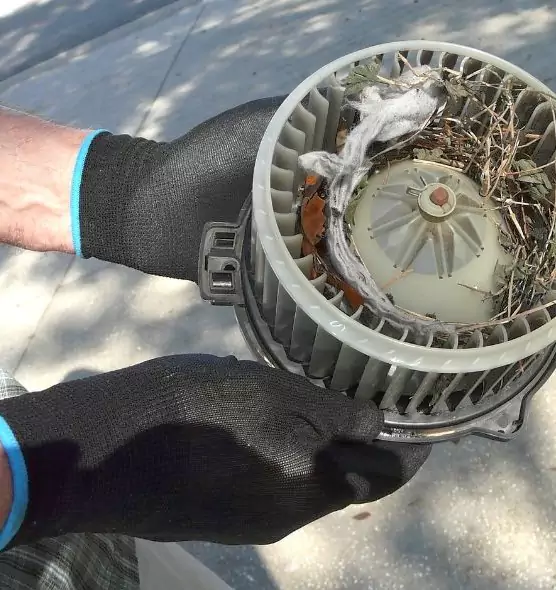 About Air Duct Mice Removal in Lehigh Acres, FL