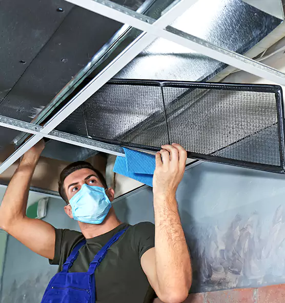 Professional Air Duct Pollen Cleaning in Lehigh Acres, FL