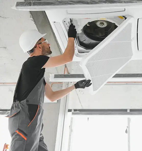 About Air Duct Rodent Removal in Lehigh Acres, FL