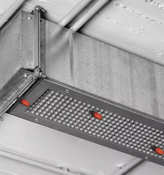 Affordable Insect Removal from Air Ducts in Lehigh Acres, FL