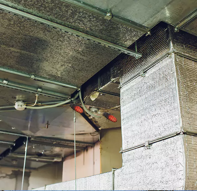 Why Homeowners & Businesses Trust Us in Lehigh Acres, FL?