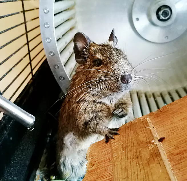 Why Homeowners & Businesses Trust Us Lehigh Acres, FL