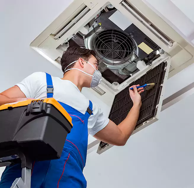 Why Homeowners & Businesses Trust Us in Lehigh Acres, FL