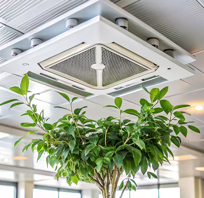 Why Homeowners & Businesses Trust Us in Lehigh Acres, FL?