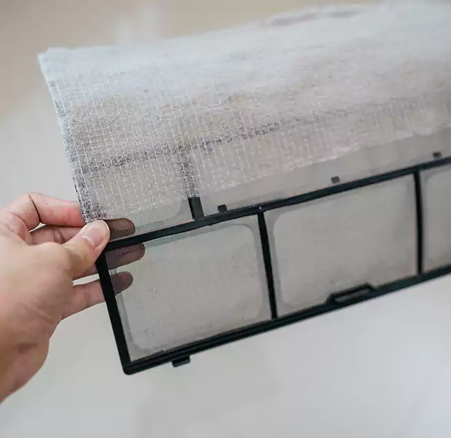 Why Homeowners & Businesses Trust Us in Lehigh Acres, FL?