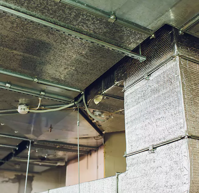 Why Homeowners & Businesses Trust Us in Lehigh Acres, FL?