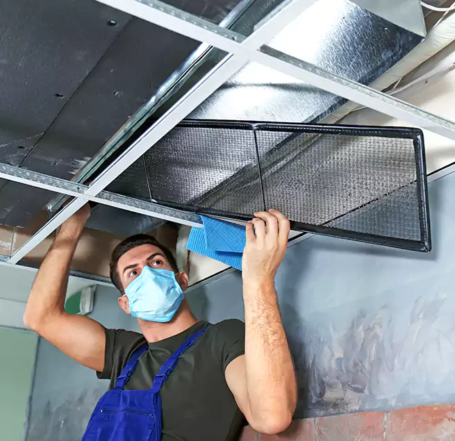 Why Homeowners Businesses Trust Us in Lehigh Acres, FL